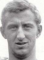 Steve Arnold